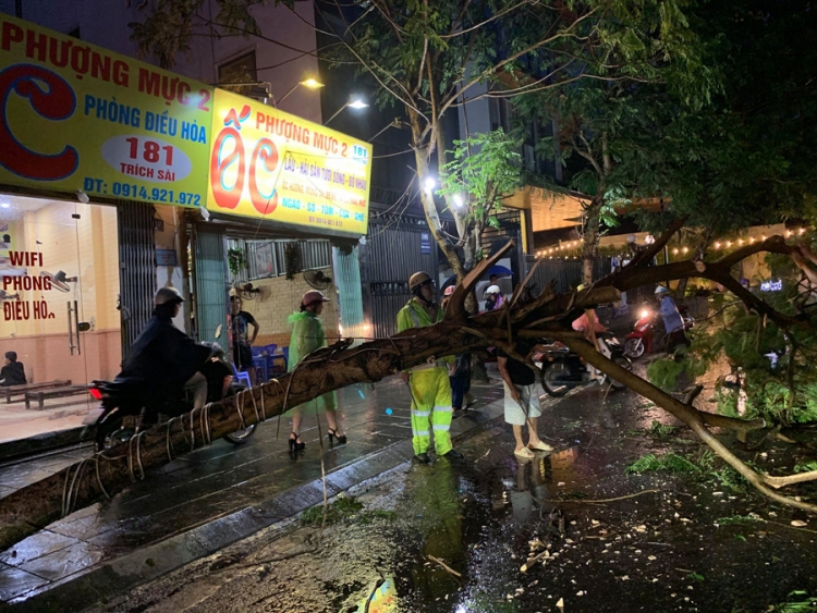 ha noi anh huong bao so 2 cay xanh do va vao 2 phu nu di tren duong