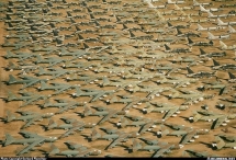 Nga "giật mình" khi Mỹ tiếp tục gọi tái ngũ oanh tạc cơ B-52 từ "nghĩa địa"