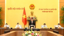 dai bieu quoc hoi thuc hien loi hua ky cuong de dan trong nang dong de dan nho