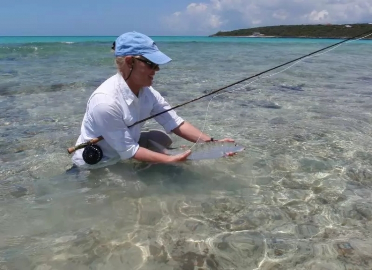 anh 10 loai dong vat boi cuc nhanh trong dai duong