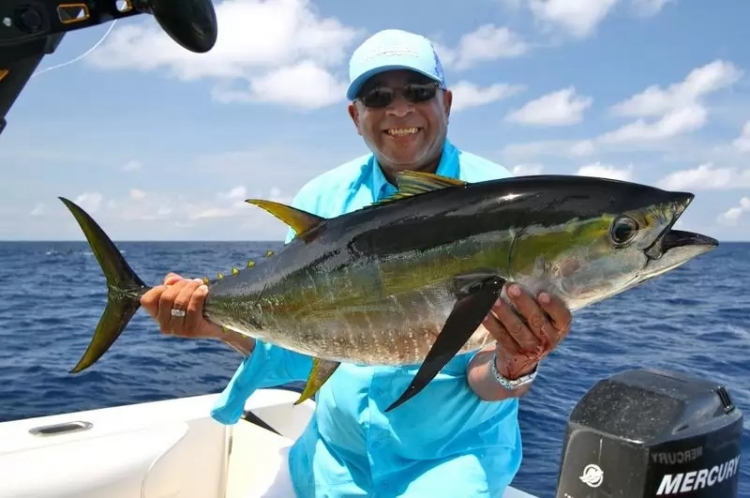 anh 10 loai dong vat boi cuc nhanh trong dai duong