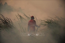 Phát hiện gần 19.000 điểm nóng về cháy rừng tại Đông Nam Á và Papua New Guinea