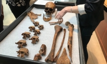 Hành trình giải mã bộ xương "ma cà rồng" ở Mỹ