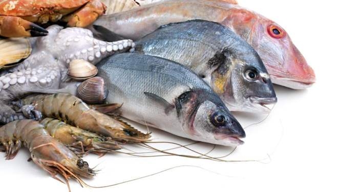 Hải sản ngon và bổ, nhưng rồi có thể con người sẽ không còn dám ăn?