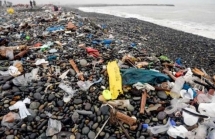 Liên minh Chấm dứt Rác thải nhựa ưu tiên vào khu vực Đông Nam Á