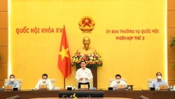Khắc phục tình trạng "chạy" thi đua khen thưởng