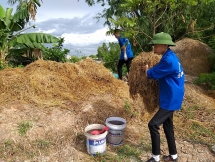 de mua lua chin se khong con thom mui khoi