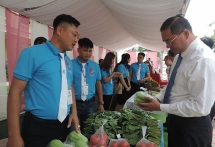 Thanh niên Gia Lâm phát huy sức trẻ xây dựng quê hương giàu mạnh