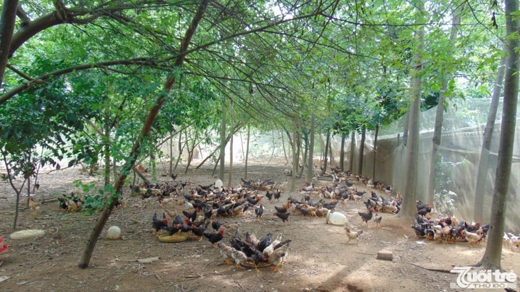 phat trien nong nghiep xay dung nong thon moi nang cao doi song nong dan