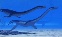 Phát hiện "quái vật" hồ Loch Ness gần 8 mét nổi lên mặt nước