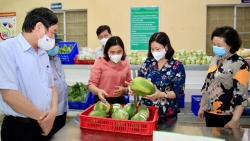 Từng bước “xanh hóa” các vùng để khôi phục và phát triển kinh tế