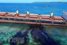 Brazil vớt hơn 100 tấn cặn dầu trên các bờ biển khắp cả nước