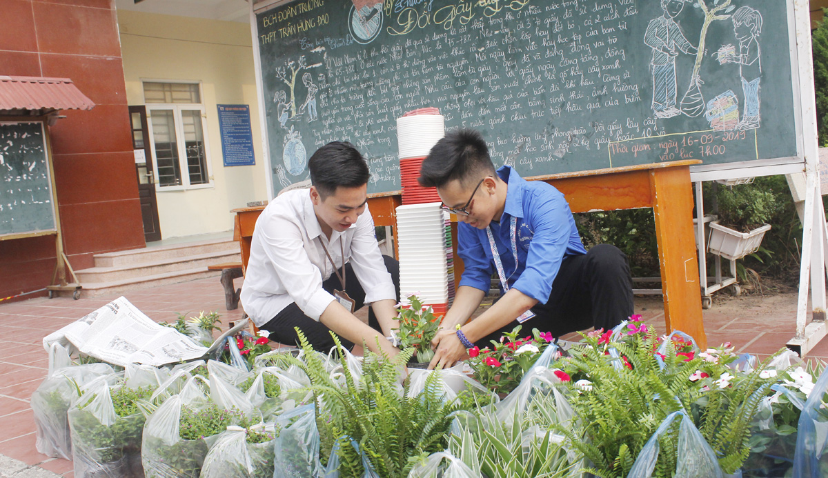 doi giay lay cay lan toa y thuc song xanh