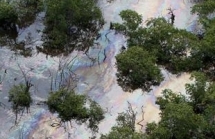 Sự cố dầu loang đe dọa rạn san hô lớn thứ hai thế giới