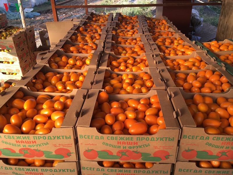 dau tu vao nong nghiep sinh ke lau dai cho cong dong nguoi viet tai nga