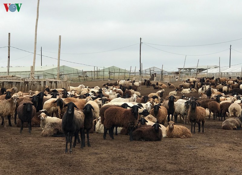 dau tu vao nong nghiep sinh ke lau dai cho cong dong nguoi viet tai nga
