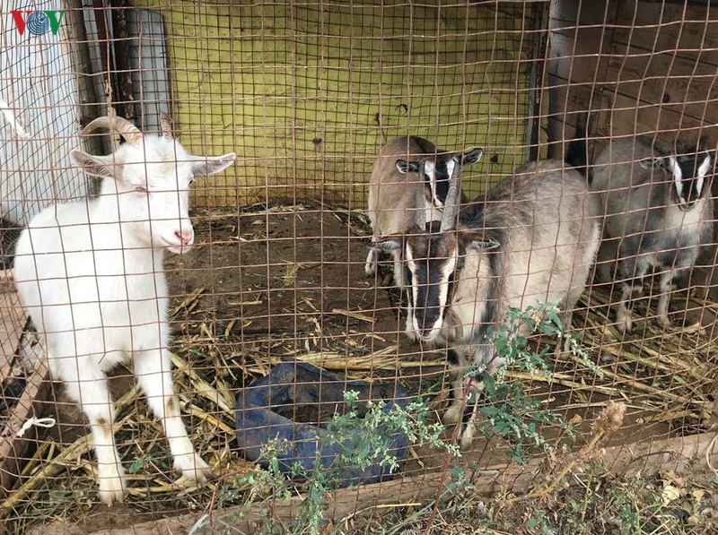 dau tu vao nong nghiep sinh ke lau dai cho cong dong nguoi viet tai nga