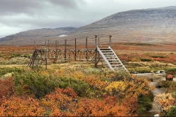 Thưởng thức vẻ đẹp "hút hồn" của mùa thu trên khắp thế giới