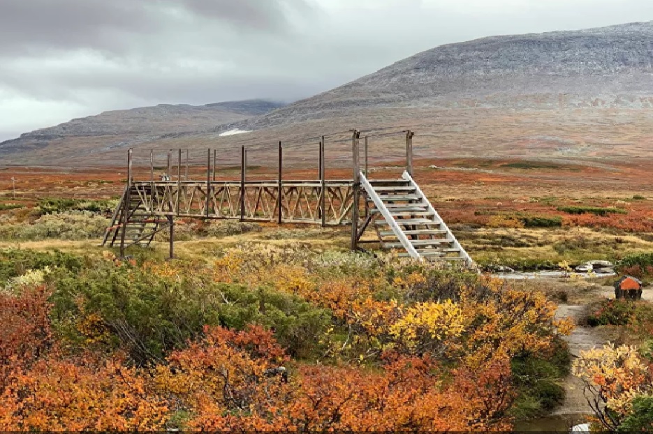 Thưởng thức vẻ đẹp "hút hồn" của mùa thu trên khắp thế giới