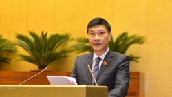 Làm rõ phạm vi của từng sản phẩm bảo hiểm bắt buộc