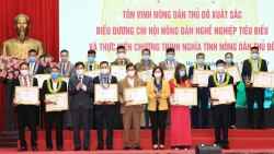 Hình thành thế hệ nông dân mới có năng lực quản lý và kỹ năng sản xuất chuyên nghiệp