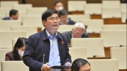 ĐBQH đề nghị giảm diện tích đất trồng lúa, tăng chỉ tiêu đất khu công nghiệp