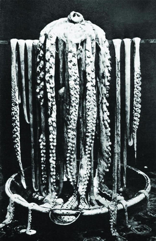 anh hiem ve nhung su kien lan dau tien trong lich su