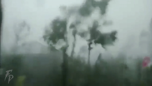 Thiệt hại đầu tiên do siêu bão Goni mạnh nhất thế giới ở Philippines
