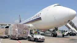 Cục Hàng không chính thức hướng dẫn IPP Air Cargo nộp hồ sơ thành lập hãng hàng không