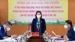 huyen me linh tap trung lam tot cong tac quy hoach de phat trien toan dien