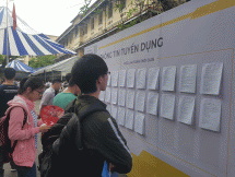 viec lam cuoi nam cho diu hiu cho nhieu cam bay