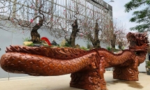 Chậu đào cổ hình rồng giá hơn một tỷ đồng