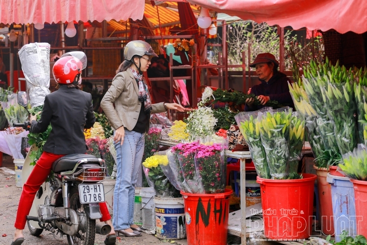 khong co tang gia dot bien nhung ngay sat tet nguyen dan