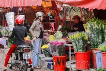 khong co tang gia dot bien nhung ngay sat tet nguyen dan