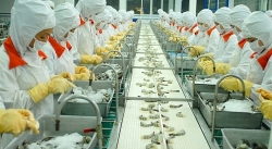 doanh nghiep chong mat vi cac loai chi phi leo thang