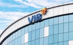 loi nhuan no xau cua vib va acb deu tang cao