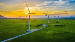 Khung giá phát điện mặt trời, điện gió chuyển tiếp bị chê quá thấp