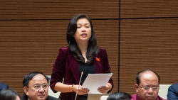 Giảm tỷ lệ sở hữu khó ngăn tái diễn vi phạm như vụ Ngân hàng SCB