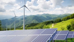 Ngày càng nhiều tập đoàn muốn mua điện tái tạo không qua EVN