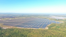Hơn 13ha đất dự án điện mặt trời của Xuân Thiện Group bị thu hồi