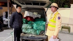 ha noi chan dung hon 800kg chan ga ban chuan bi tuon len ban nhau