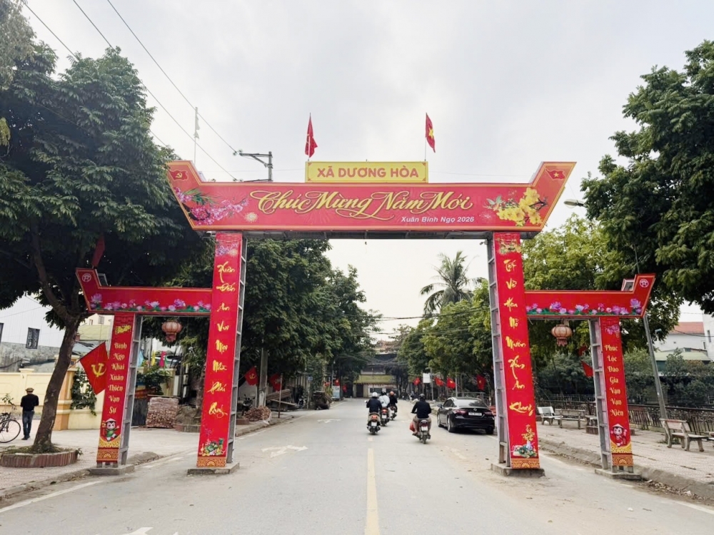 Xã Dương Hòa rực rỡ cờ hoa mừng Đảng, mừng Xuân