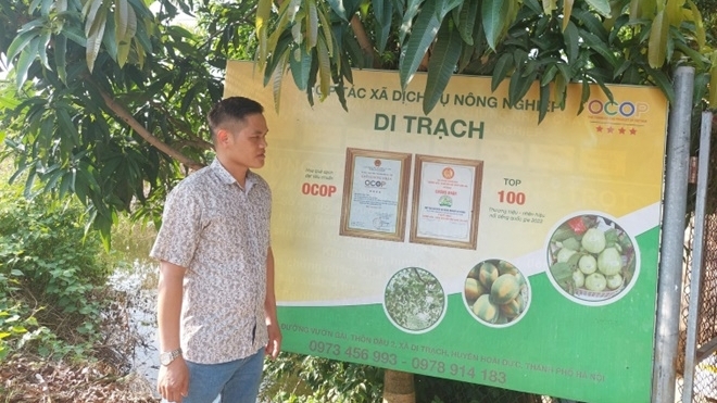 Hết năm 2025, cả nước có hơn 35.000 hợp tác xã