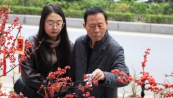 Hà Nội chốt địa điểm tổ chức lễ hội Xuân Bính Ngọ 2026