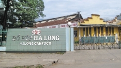 Bắt Tổng Giám đốc Công ty Đồ hộp Hạ Long vụ 130 tấn thịt lợn nhiễm bệnh