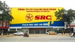 ha noi chuyen doi 62ha dat vang cua cao su sao vang lam to hop nha o cao tang