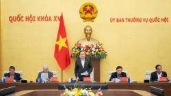 gioi thieu 145 nguoi ung cu dai bieu quoc hoi chuyen trach khoa xvi o trung uong