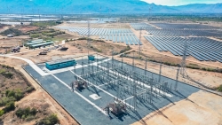 vocarimex xuan thien ninh thuan cung loat cong ty bi so gay