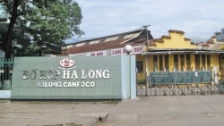 Nhà máy Đồ hộp Hạ Long ở Hải Phòng dừng sản xuất sau vụ 130 thịt lợn nhiễm bệnh