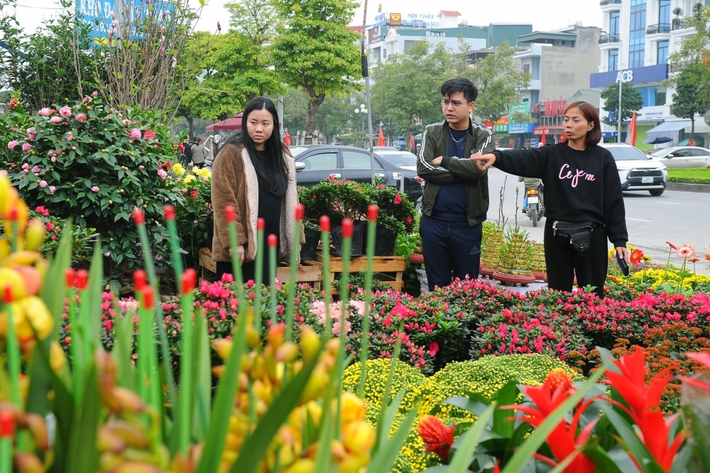 Xã Đan Phượng tổ chức chợ hoa Xuân Bính Ngọ năm 2026 từ 23/1 - 16/2